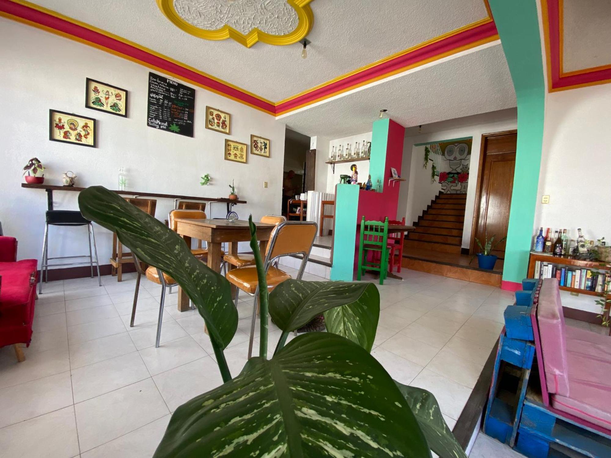 Casa El Mundo Hostel Oaxaca Exterior photo